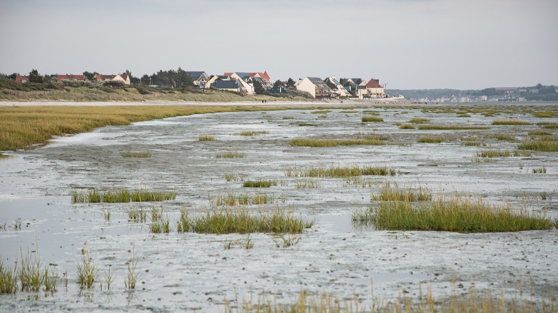 Le Crotoy, Baie de Somme
